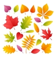set of colorful autumn leaves vector image