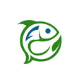 farm and fish vector image