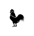 chicken rooster icon design template isolated vector image