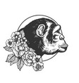 monkey head animal engraving vector image