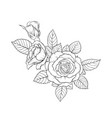 beautiful black and white bouquet rose leaves vector image