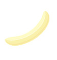 opened banana in cartoon style vector image vector image