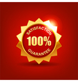 satisfaction guarantee vector image vector image