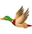 cute duck cartoon flying on white background vector image vector image