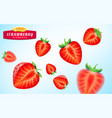 strawberry set detailed realistic ripe juicy vector image vector image