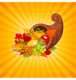 horn of plenty vector image vector image