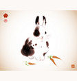 ink painting of little fluffy rabbit in vintage vector image