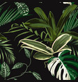 tropical pattern palm tree leaves and plant vector image