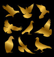 golden dove silhouettes isolated on black vector image