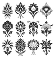 vintage flower set vector image