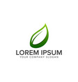 leaf logo natural logo design concept template vector image