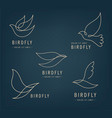 set of line bird logos pigeon silhouettes vector image vector image