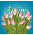 spring background template eps 10 vector image