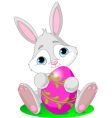easter bunny with egg vector image vector image