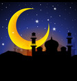 ramadan kareem arabian night vector image