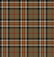 tartan plaid pattern vector image vector image