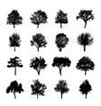 black tree silhouettes nature forest vector image