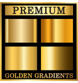 gold texture square patterns set vector image