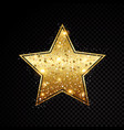 star frame shining isolated on black vector image