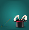 magic hat with rabbit and wand ill vector image vector image