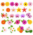 flower icons vector image vector image