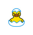 yellow duck chick hatches from an egg vector image