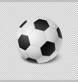 realistic soccer ball icon closeup isolated vector image