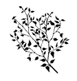 tree branches with leaves and berries vector image