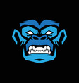 angry gorilla vector image