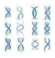 dna icons genetic biology human structure medical vector image