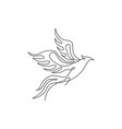 one single line drawing luxury phoenix bird vector image