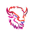 american buffalo ribbon art vector image