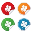 clover with four leaves sign st patrick symbol vector image vector image