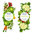 organic natural vegetables farm harvest vector image