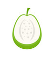 cutted guava icon flat style vector image