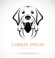 dog golden retriever vector image