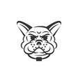 french bulldog head icon template mascot vector image