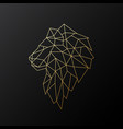 golden polygonal lion isolated vector image vector image