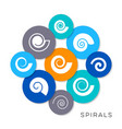 simple spiral icons vector image