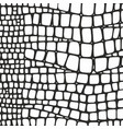 snake skin black and white texture vector image