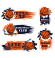 basketball team club ball icons vector image vector image