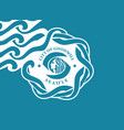 flag saettle vector image vector image