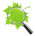 magnifying glass with green leaf vector image vector image