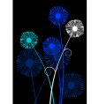 dandelion vector image vector image