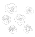 flower line art set vector image