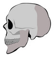skull profile on white background vector image