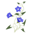 blue petunia or alstroemeria flower in blossom vector image vector image