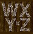 set of letters on wooden background vector image vector image