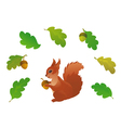 squirrel and oak leaves vector image