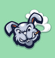 angry rabbit while smoking vector image vector image